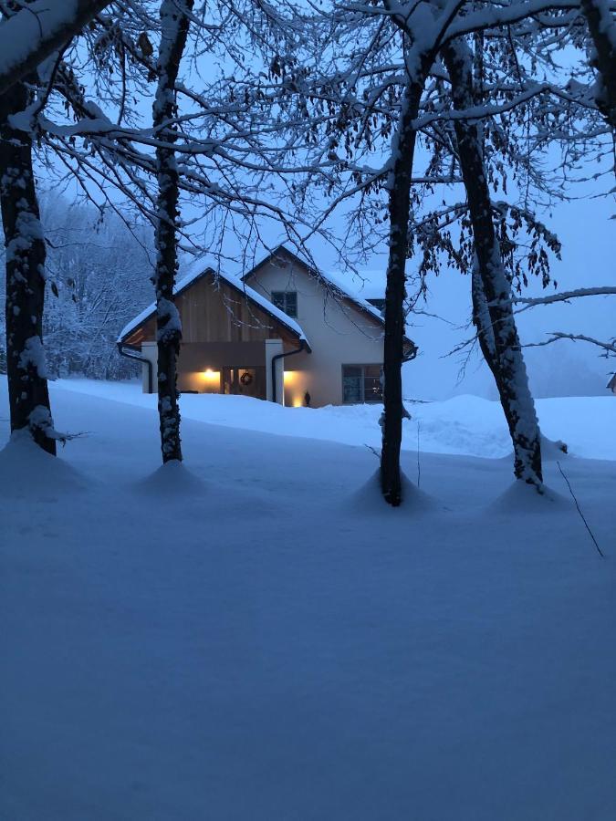 Loft Naturalpina Dolomiti Farm Belluno Exterior photo